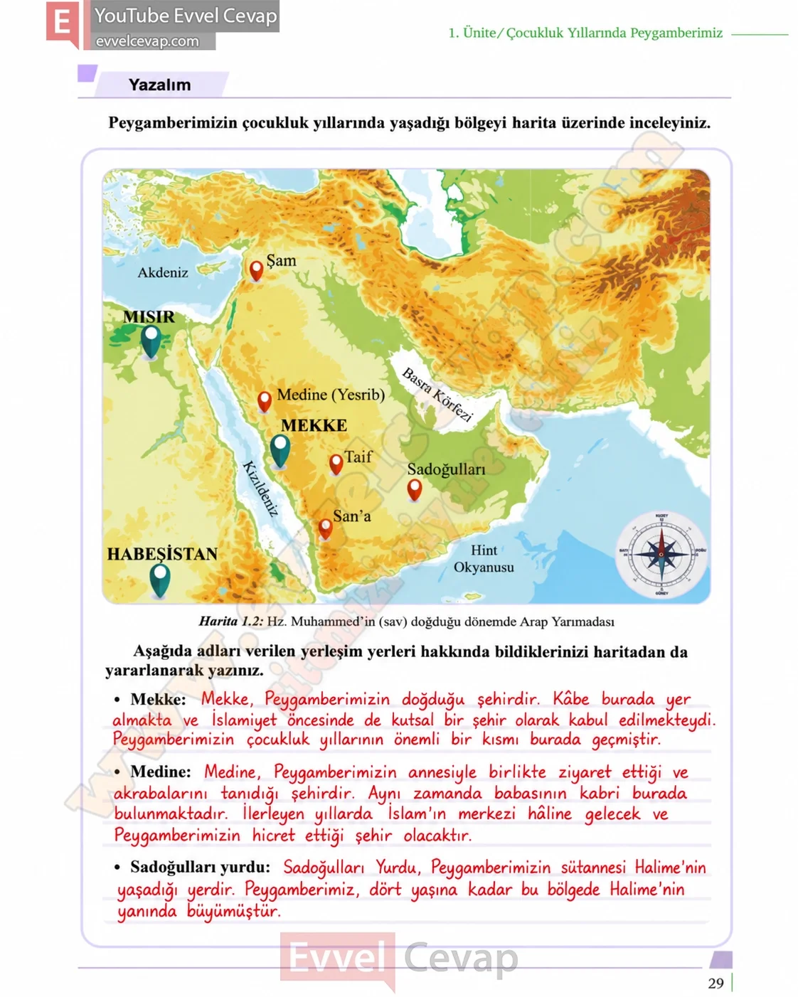 5-sinif-peygamberimizin-hayati-ders-kitabi-cevaplari-meb-yayinlari-sayfa-29-2026