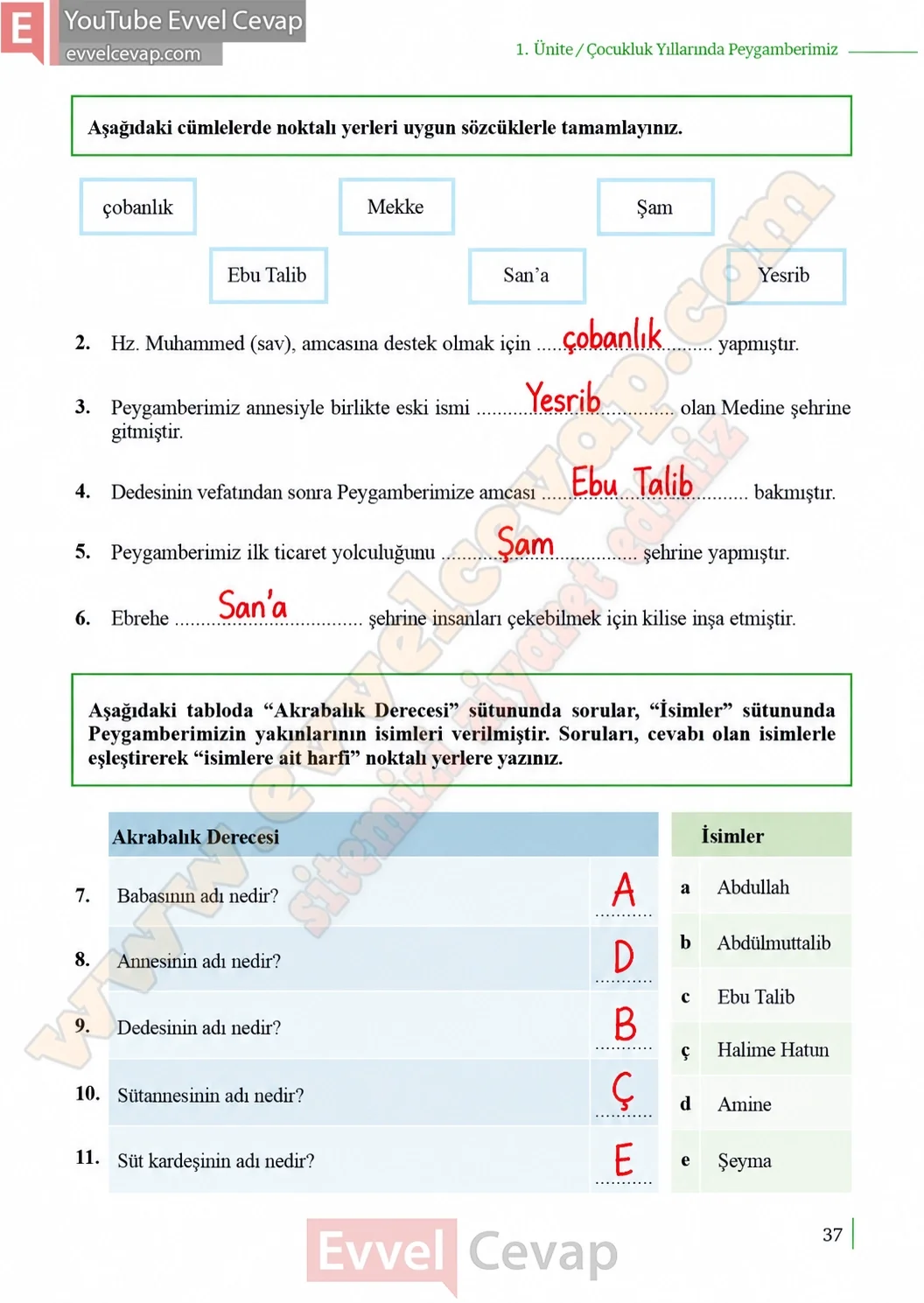 5-sinif-peygamberimizin-hayati-ders-kitabi-cevaplari-meb-yayinlari-sayfa-37-2026