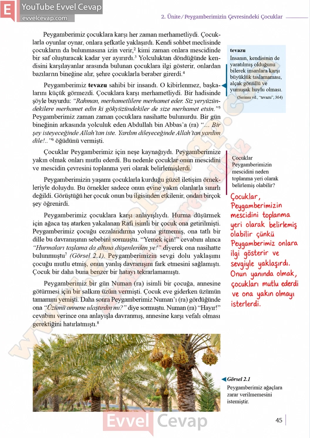 5-sinif-peygamberimizin-hayati-ders-kitabi-cevaplari-meb-yayinlari-sayfa-45-2026