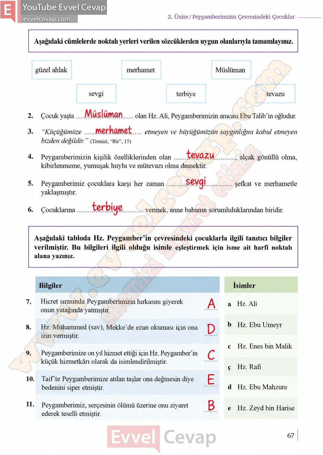 5-sinif-peygamberimizin-hayati-ders-kitabi-cevaplari-meb-yayinlari-sayfa-67-2026