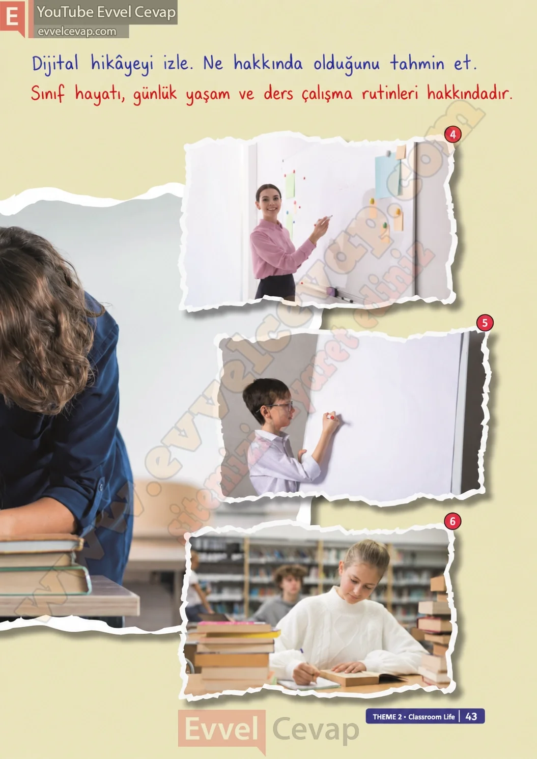 6-sinif-ingilizce-ders-kitabi-cevabi-sayfa-43
