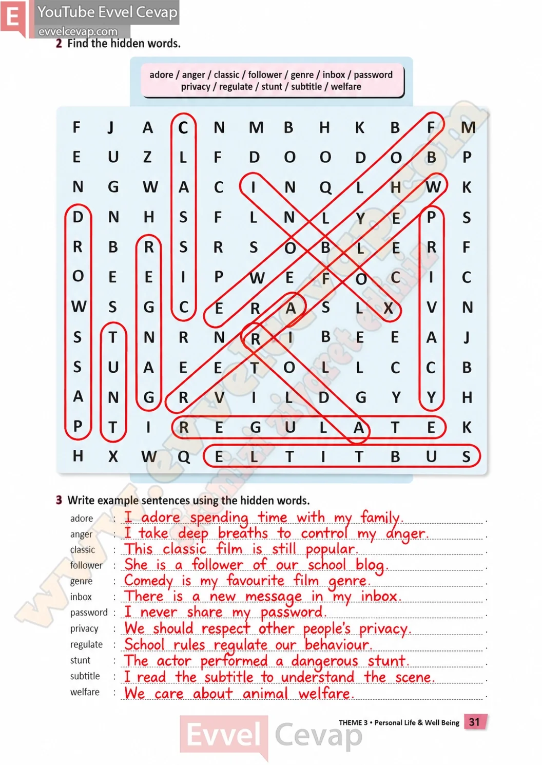 6-sinif-multi-english-calisma-kitabi-cevabi-sayfa-31