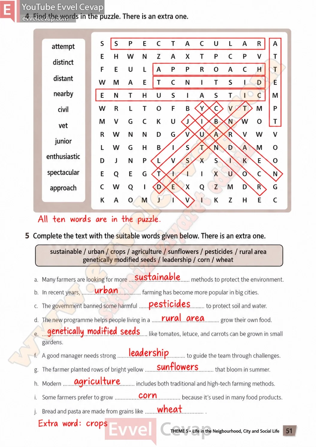 6-sinif-multi-english-calisma-kitabi-cevabi-sayfa-51
