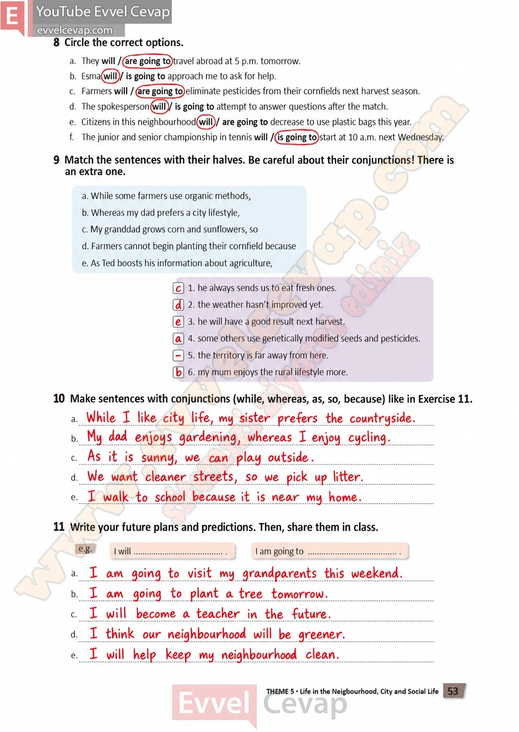 6-sinif-multi-english-calisma-kitabi-cevabi-sayfa-53