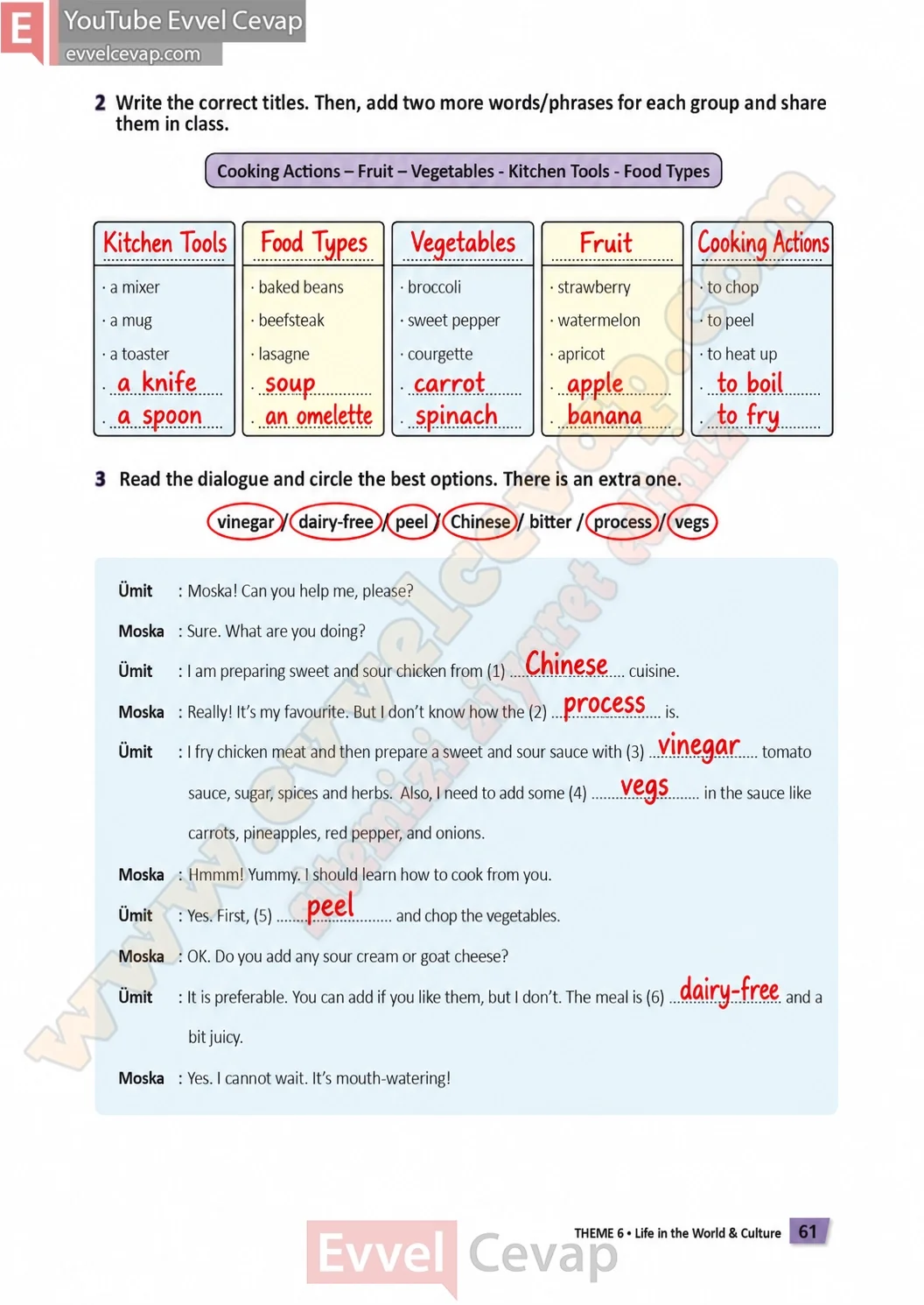 6-sinif-multi-english-calisma-kitabi-cevabi-sayfa-61