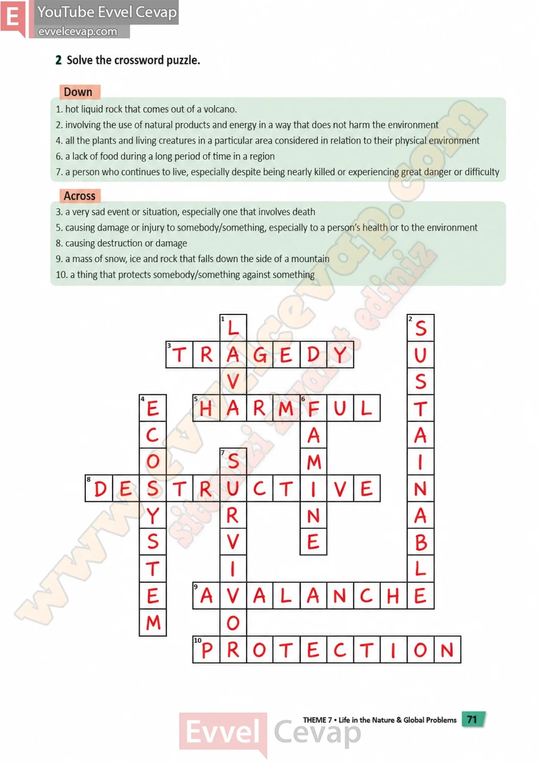 6-sinif-multi-english-calisma-kitabi-cevabi-sayfa-71