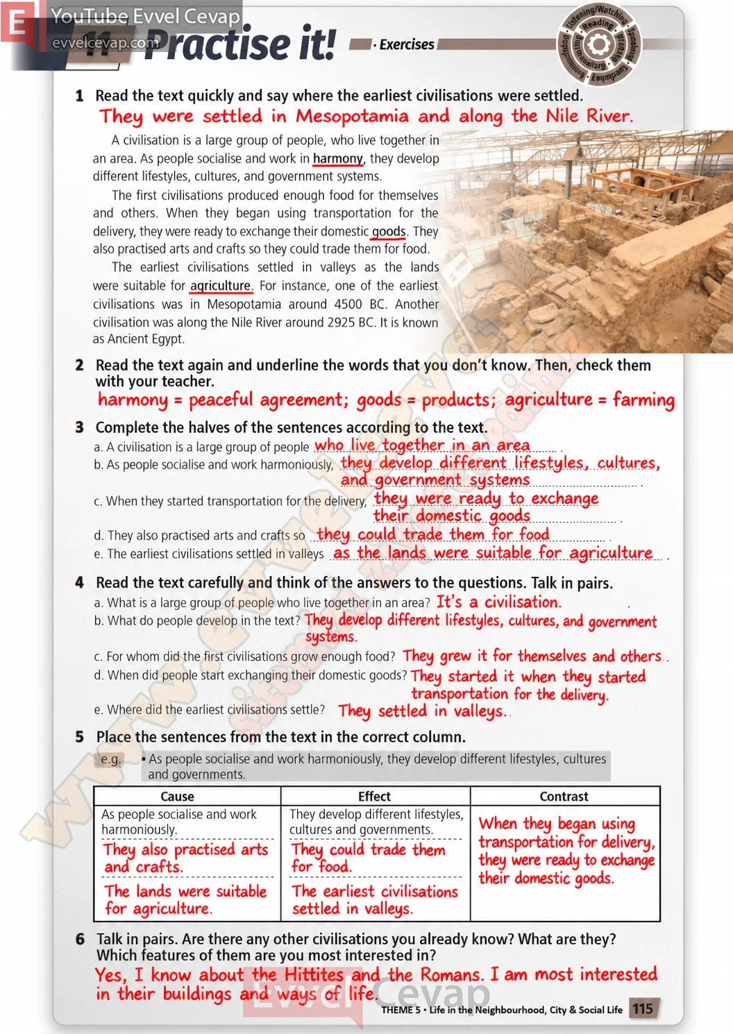6-sinif-multi-english-ders-kitabi-cevabi-sayfa-115