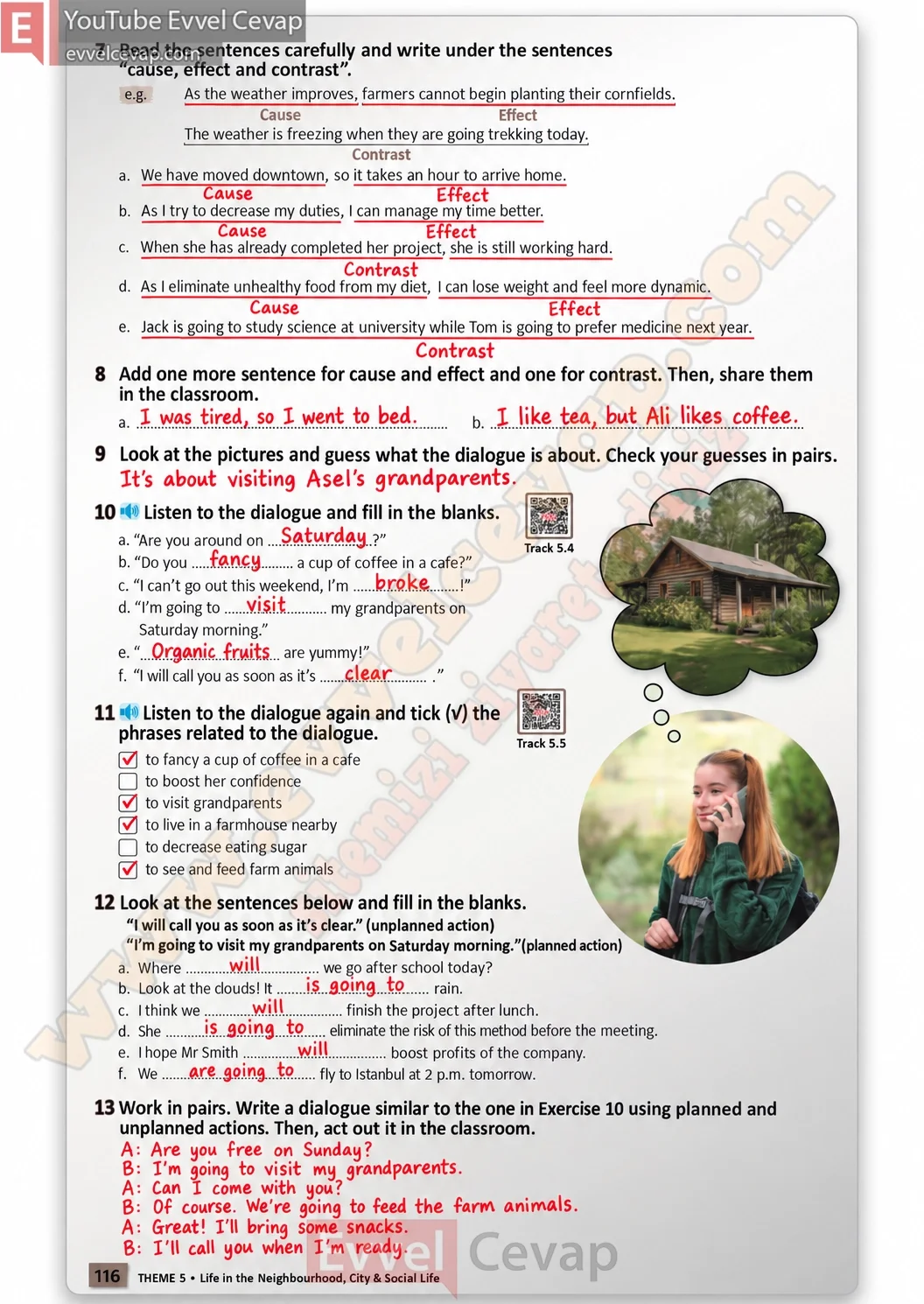 6-sinif-multi-english-ders-kitabi-cevabi-sayfa-116
