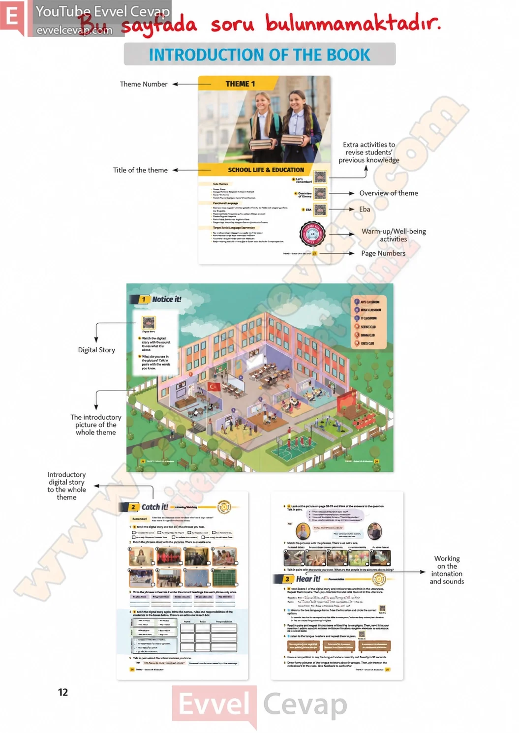 6-sinif-multi-english-ders-kitabi-cevabi-sayfa-12