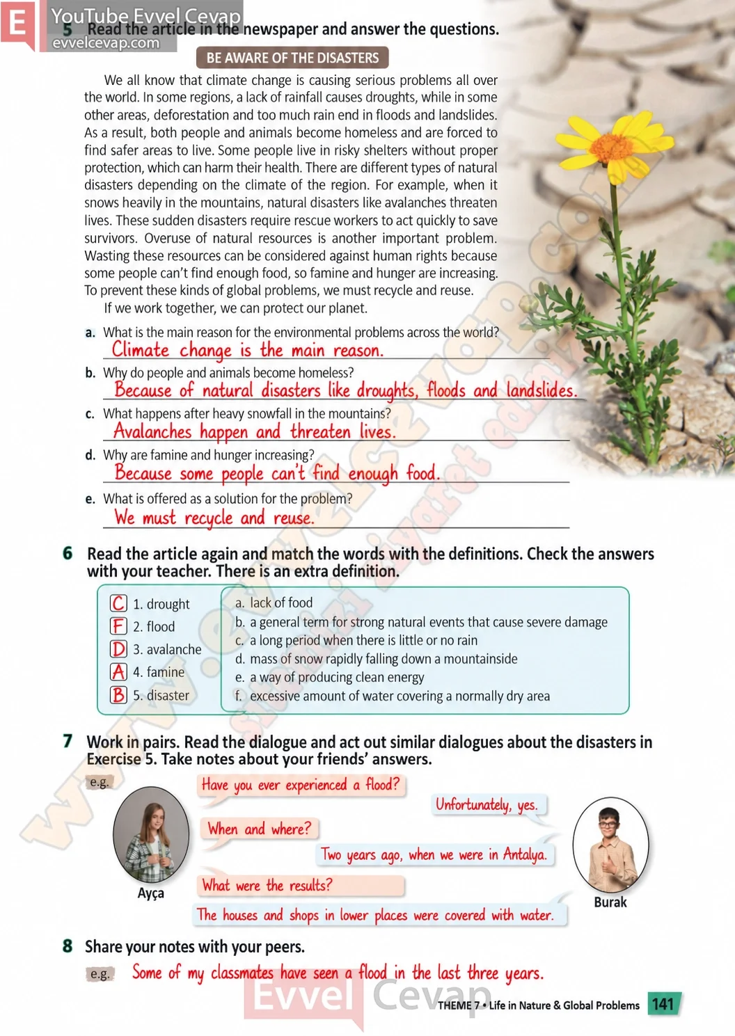 6-sinif-multi-english-ders-kitabi-cevabi-sayfa-141