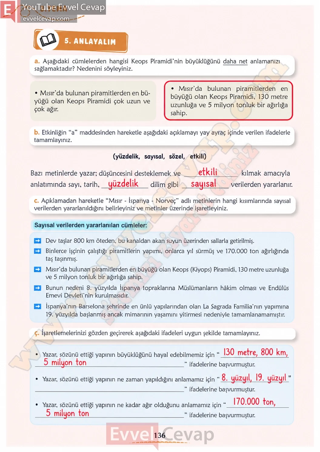 6-sinif-turkce-kitabi-cevaplari-meb-yayinlari-1-kitap-sayfa-136-2026