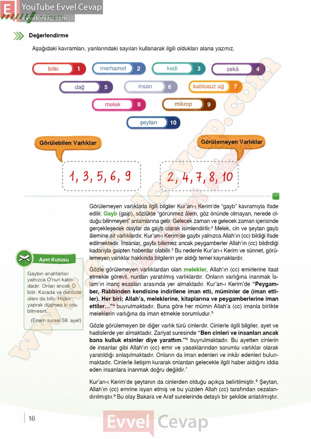 7-sinif-din-kulturu-ders-kitabi-cevaplari-meb-yayinlari-sayfa-16-2026
