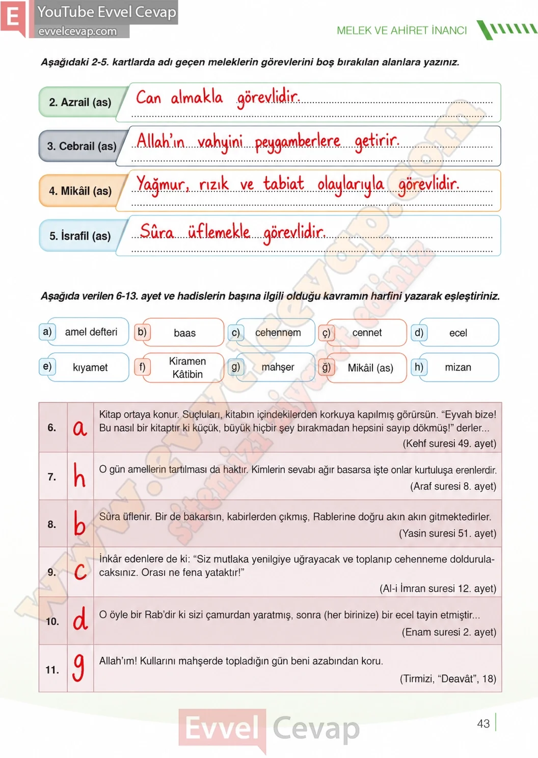 7-sinif-din-kulturu-ders-kitabi-cevaplari-meb-yayinlari-sayfa-43-2026