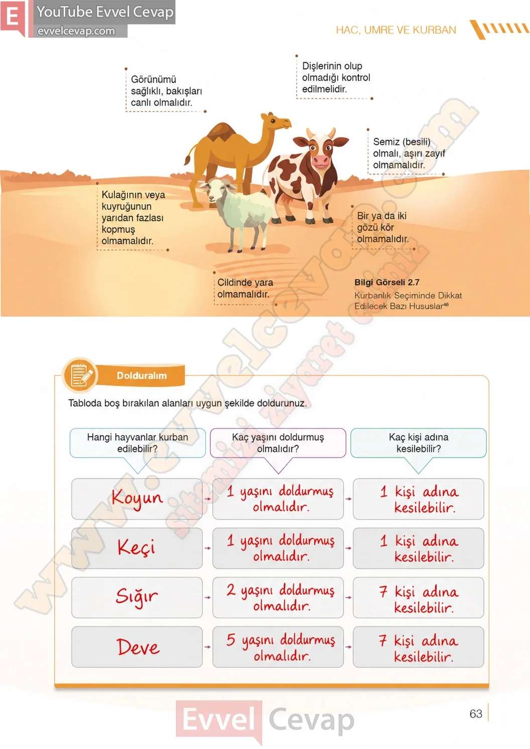 7-sinif-din-kulturu-ders-kitabi-cevaplari-meb-yayinlari-sayfa-63-2026