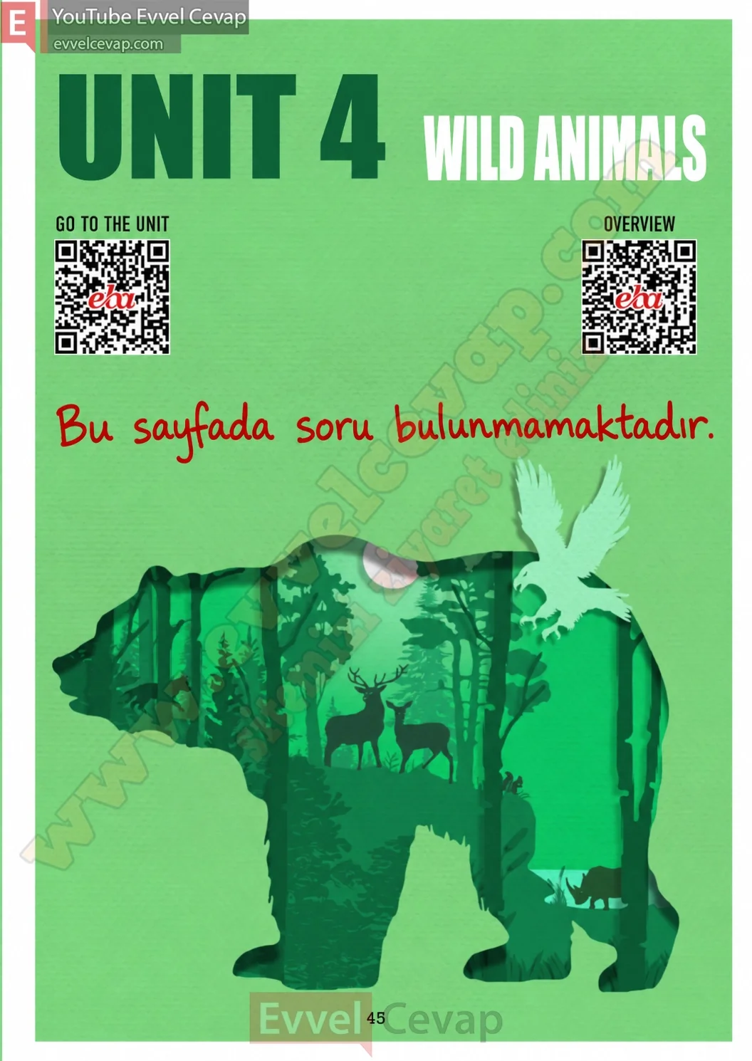 7-sinif-ingilizce-ders-kitabi-coursebook-cevaplari-meb-sayfa-45