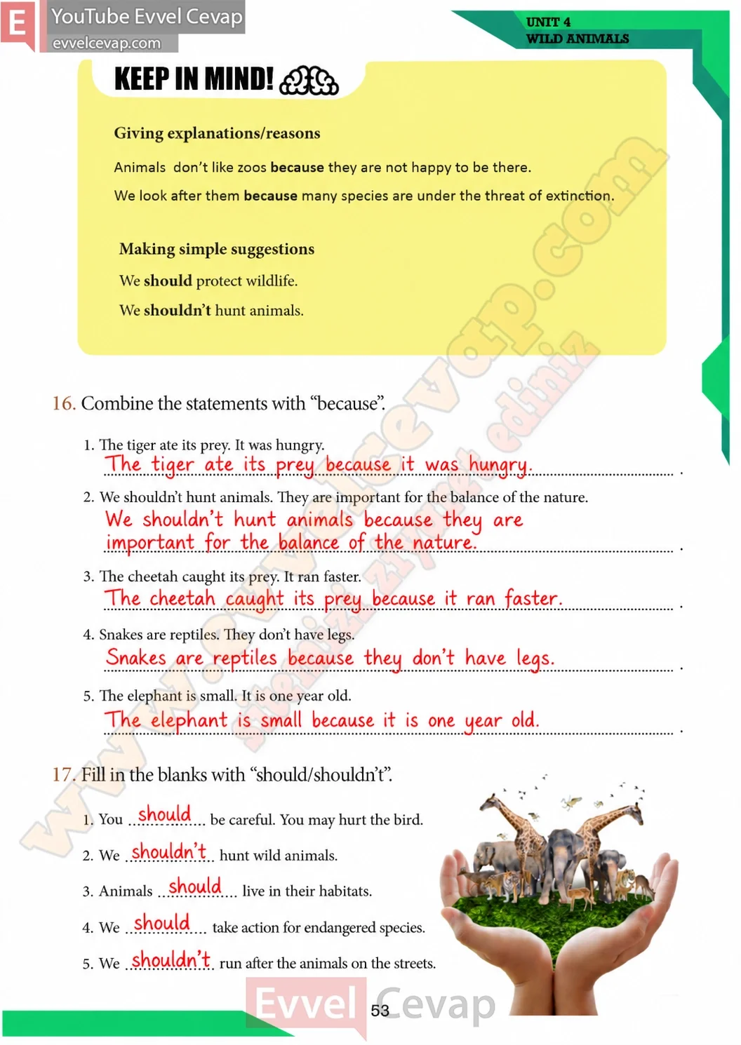 7-sinif-ingilizce-ders-kitabi-coursebook-cevaplari-meb-sayfa-53