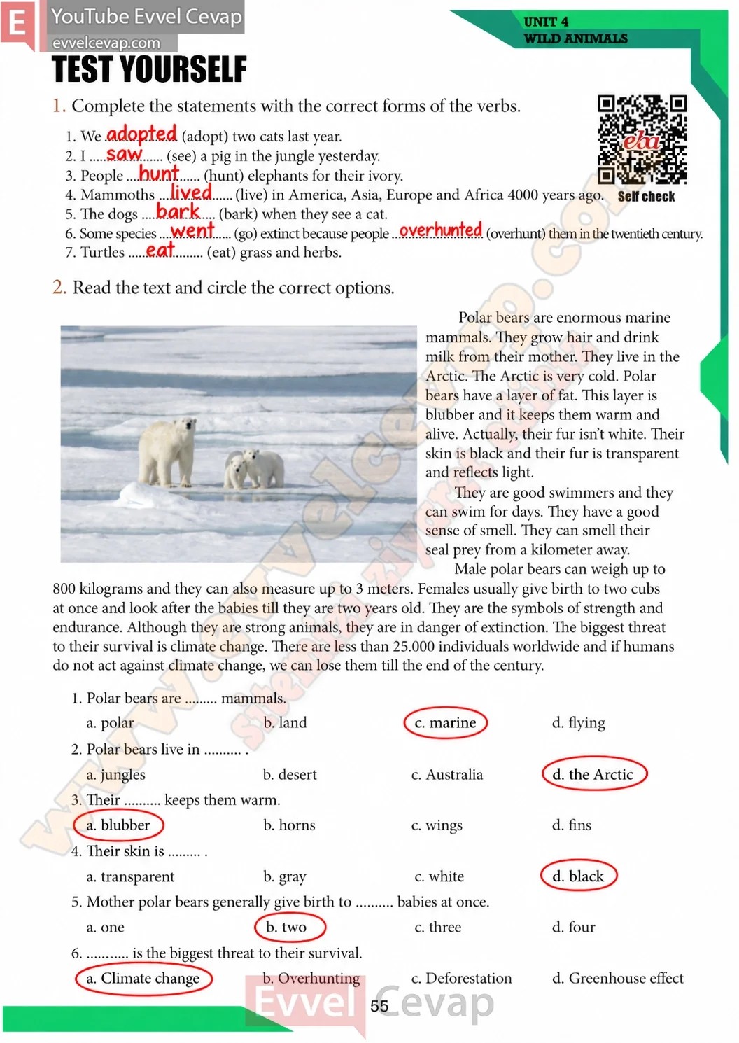 7-sinif-ingilizce-ders-kitabi-coursebook-cevaplari-meb-sayfa-55