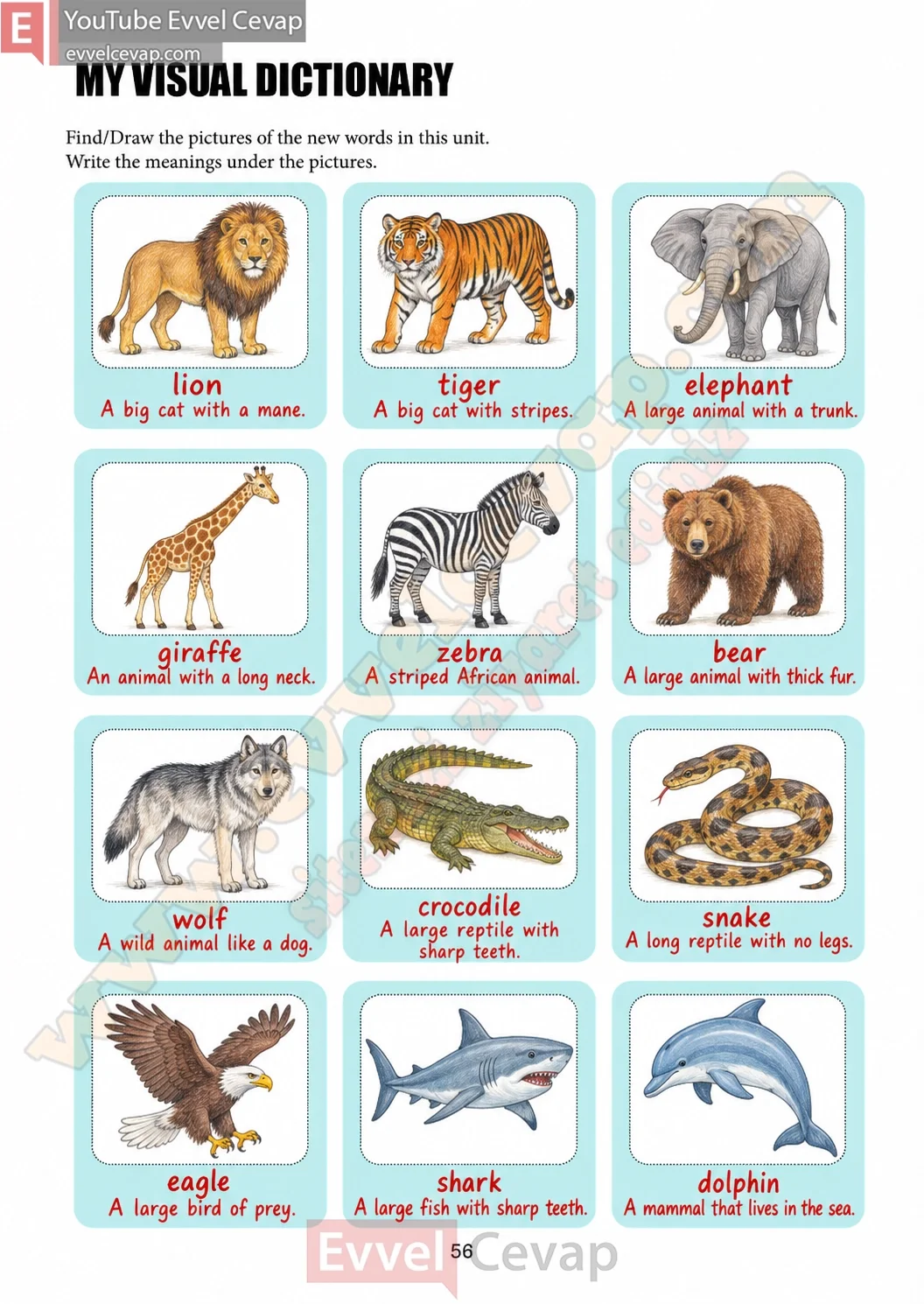 7-sinif-ingilizce-ders-kitabi-coursebook-cevaplari-meb-sayfa-56