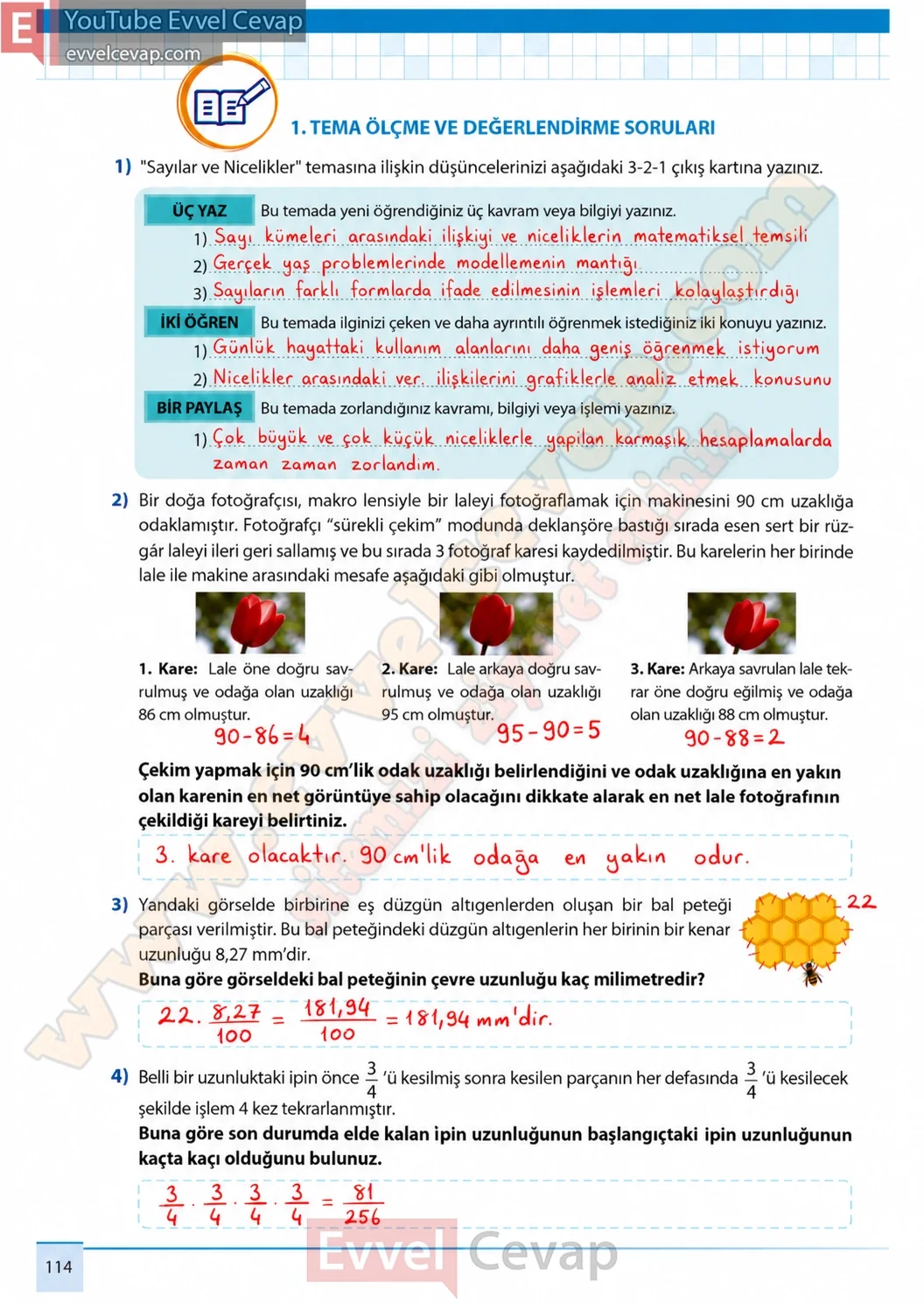 7-sinif-matematik-ders-kitabi-cevaplari-meb-yayinlari-1-kitap-sayfa-114