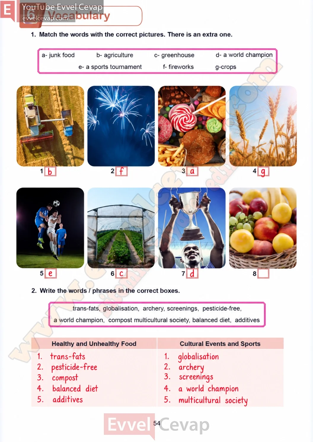 7-sinif-multi-english-calisma-kitabi-cevabi-sayfa-54
