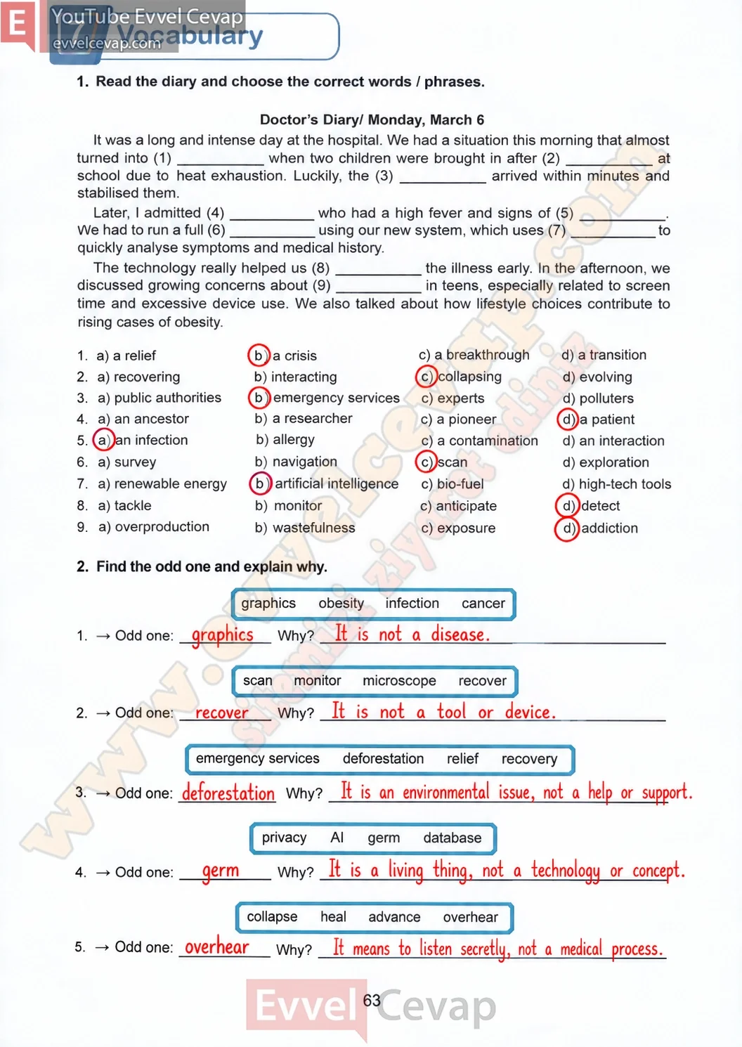 7-sinif-multi-english-calisma-kitabi-cevabi-sayfa-63