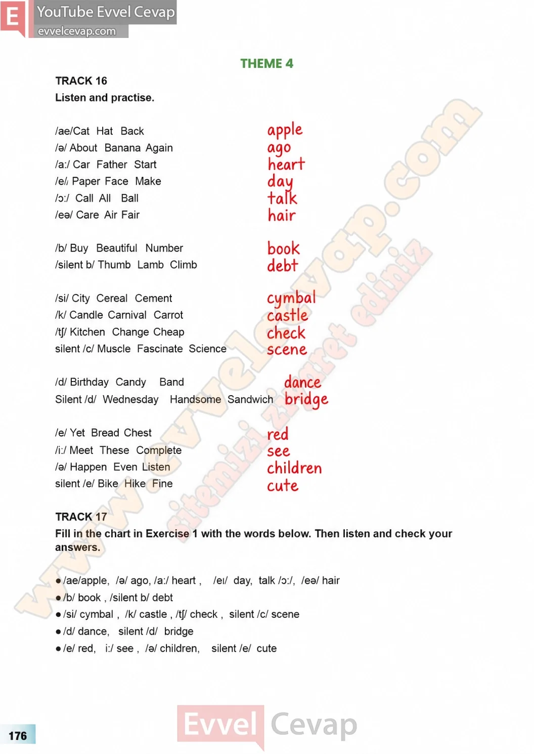 7-sinif-multi-english-ders-kitabi-cevabi-sayfa-176