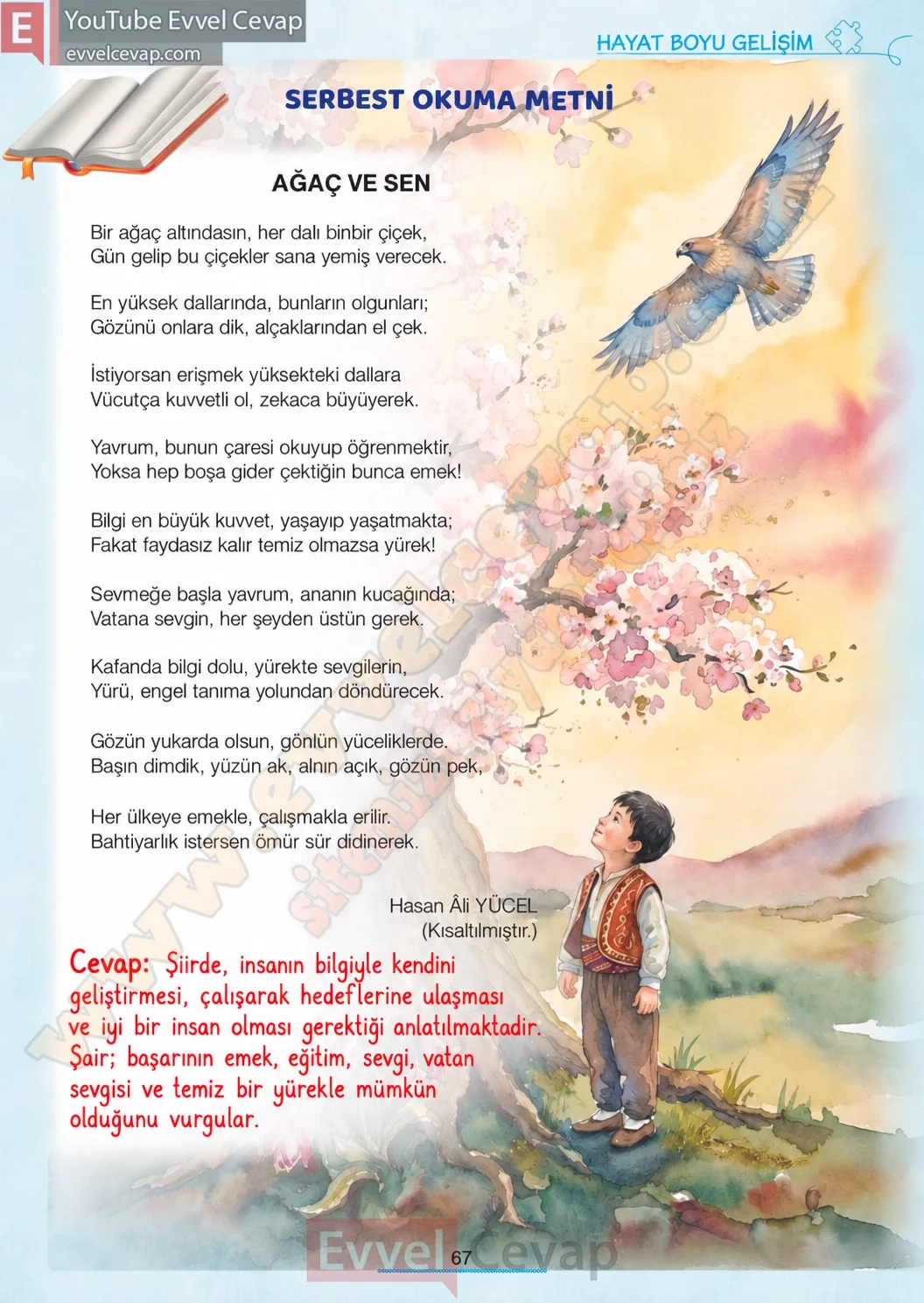 7-sinif-turkce-ders-kitabi-cevabi-meb-yayinlari-1-kitap-sayfa-67 