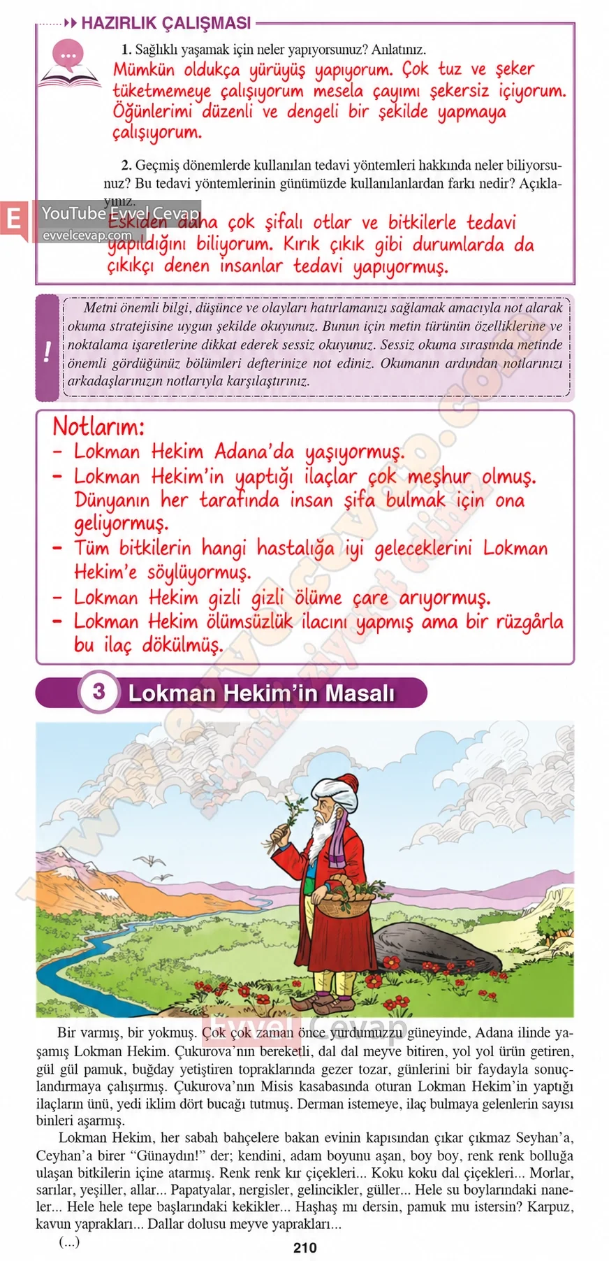 8-sinif-hecce-yayinlari-turkce-ders-kitabi-cevaplari-sayfa-210-2026