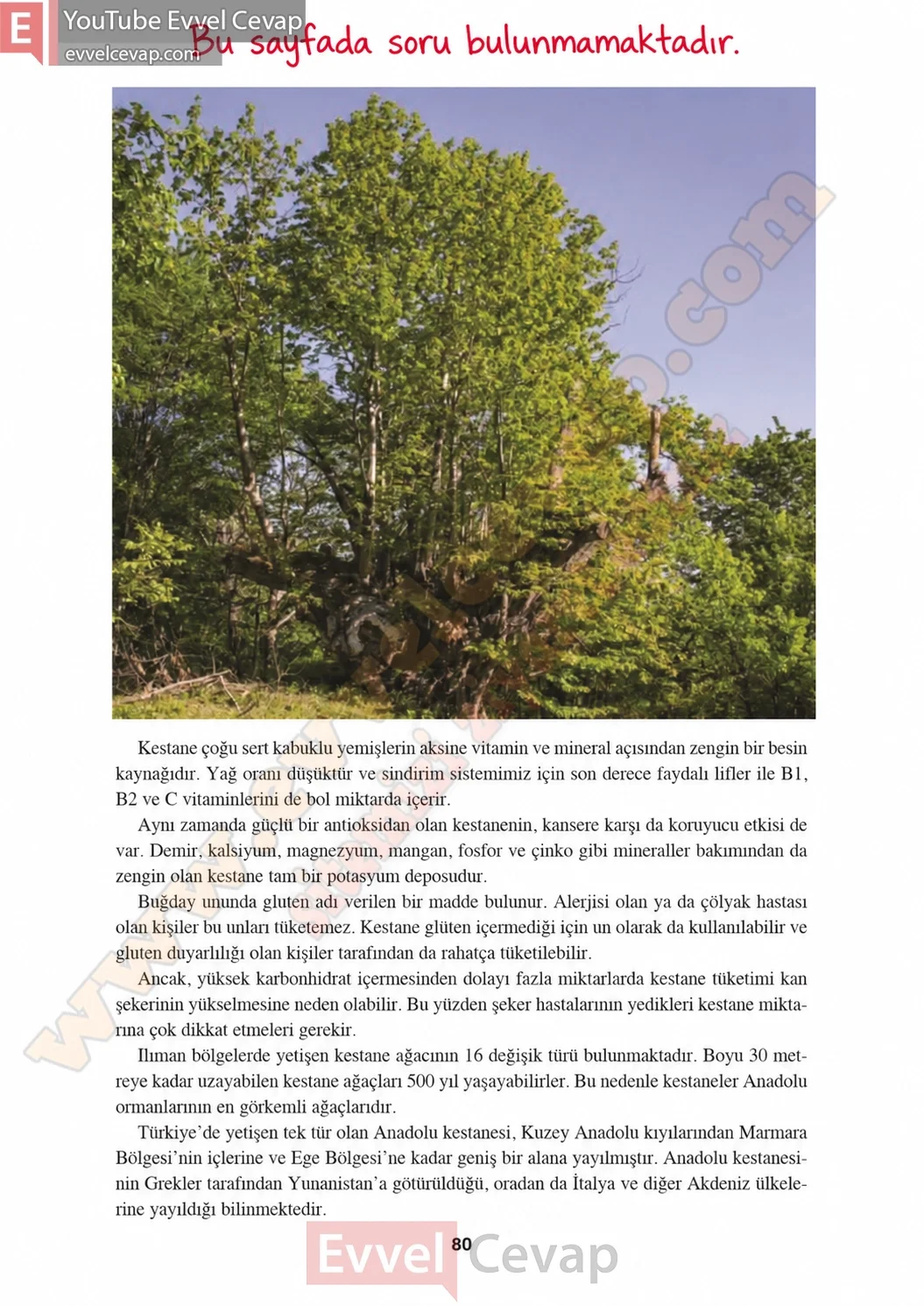 8-sinif-hecce-yayinlari-turkce-ders-kitabi-cevaplari-sayfa-80-2026