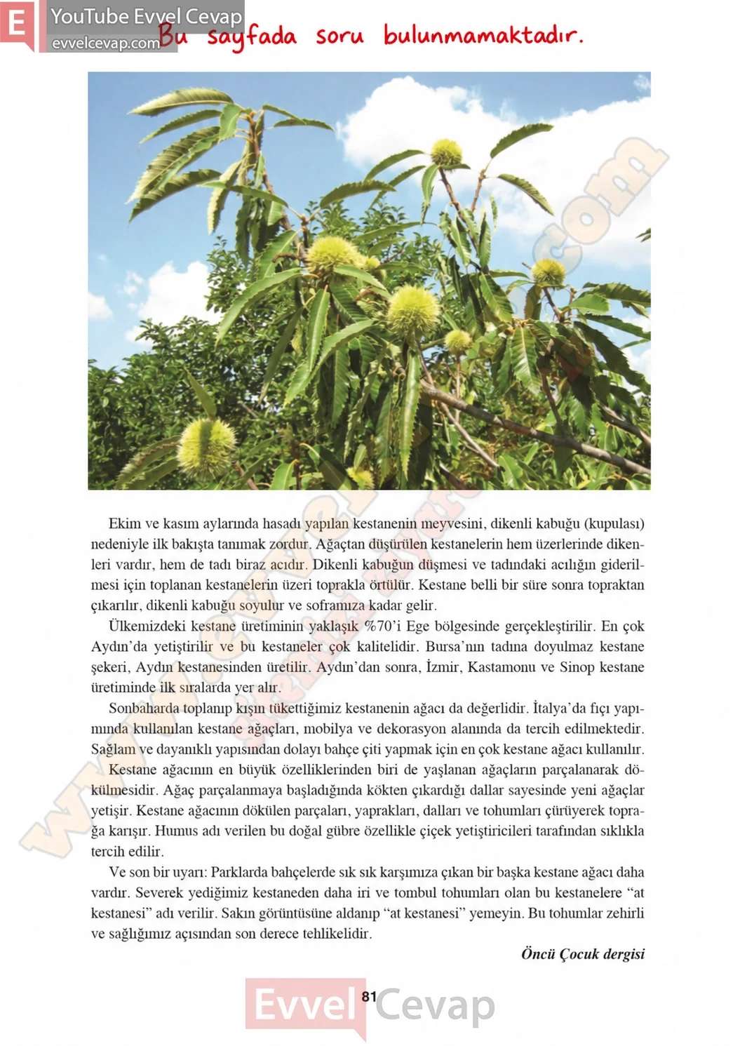 8-sinif-hecce-yayinlari-turkce-ders-kitabi-cevaplari-sayfa-81-2026