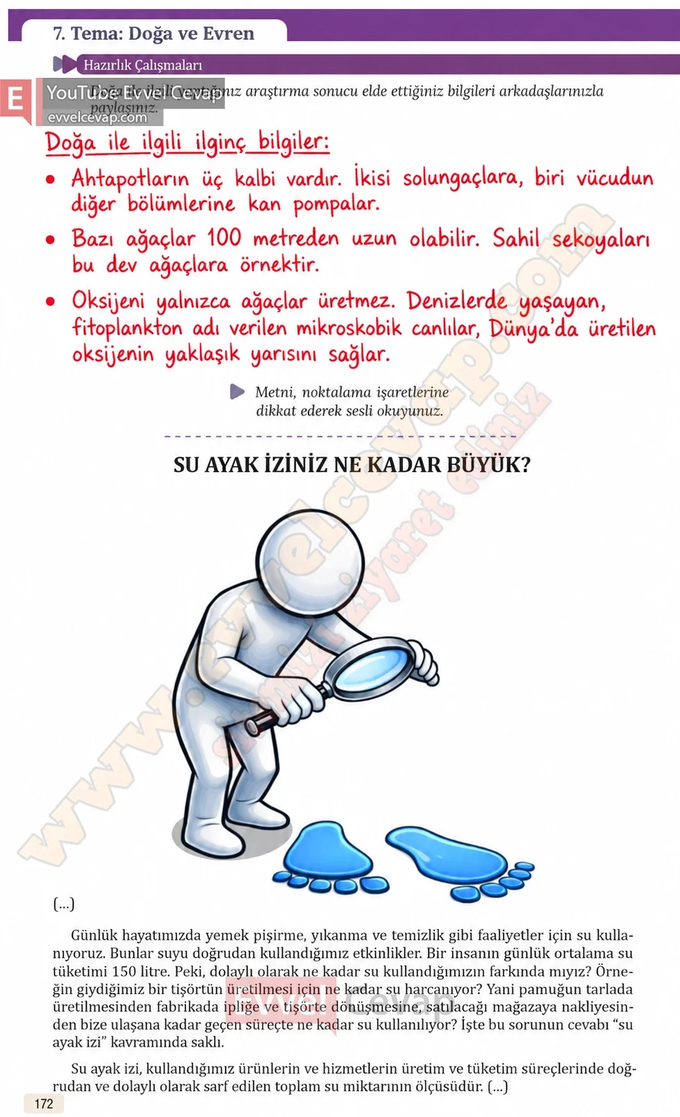 8-sinif-turkce-ders-kitabi-cevaplari-meb-yayinlari-sayfa-172-2026