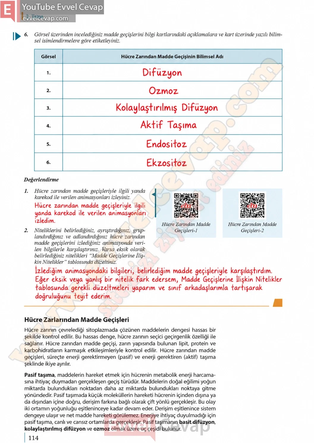 9-sinif-biyoloji-ders-kitabi-cevaplari-sayfa-114-2026