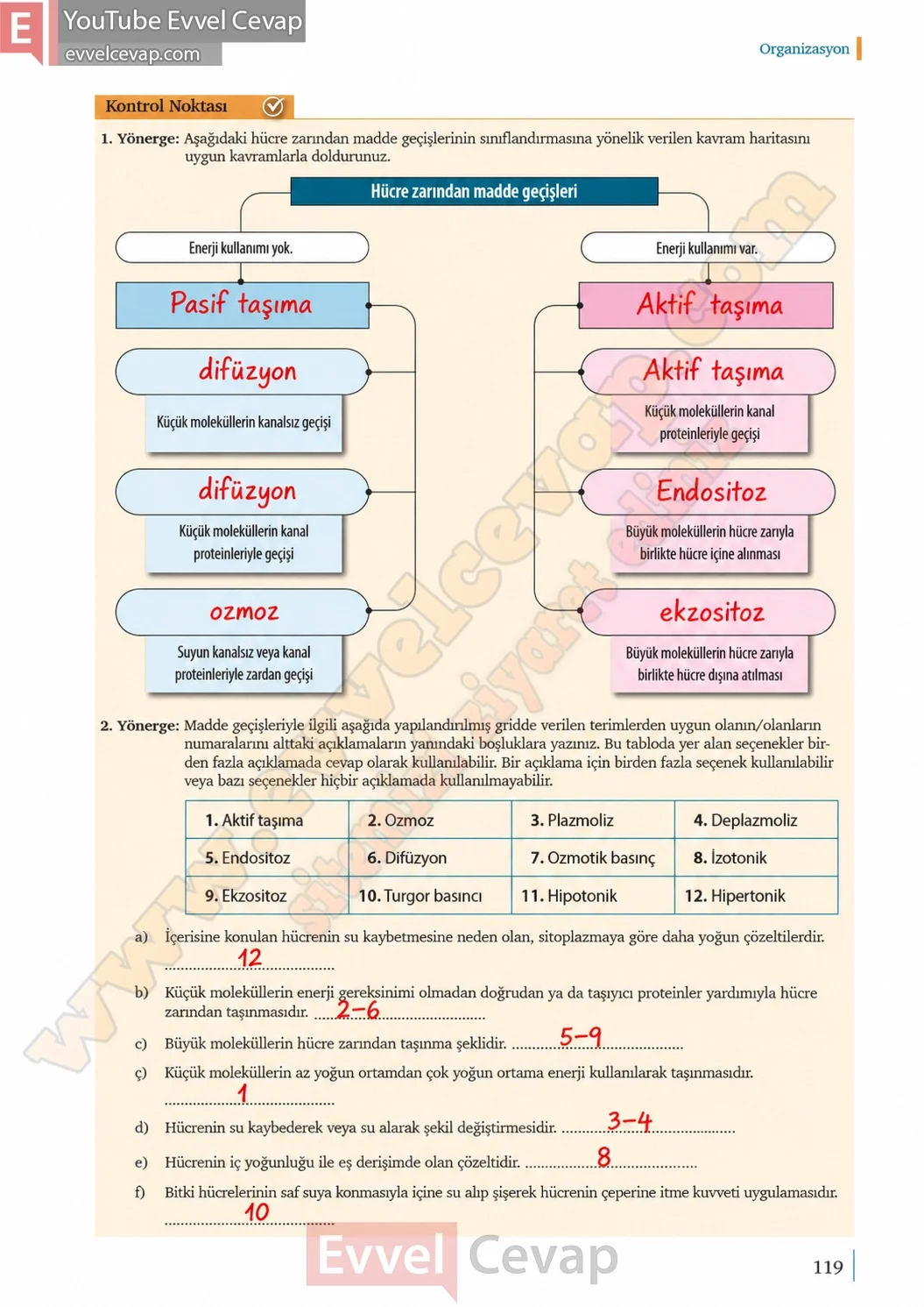 9-sinif-biyoloji-ders-kitabi-cevaplari-sayfa-119-2026