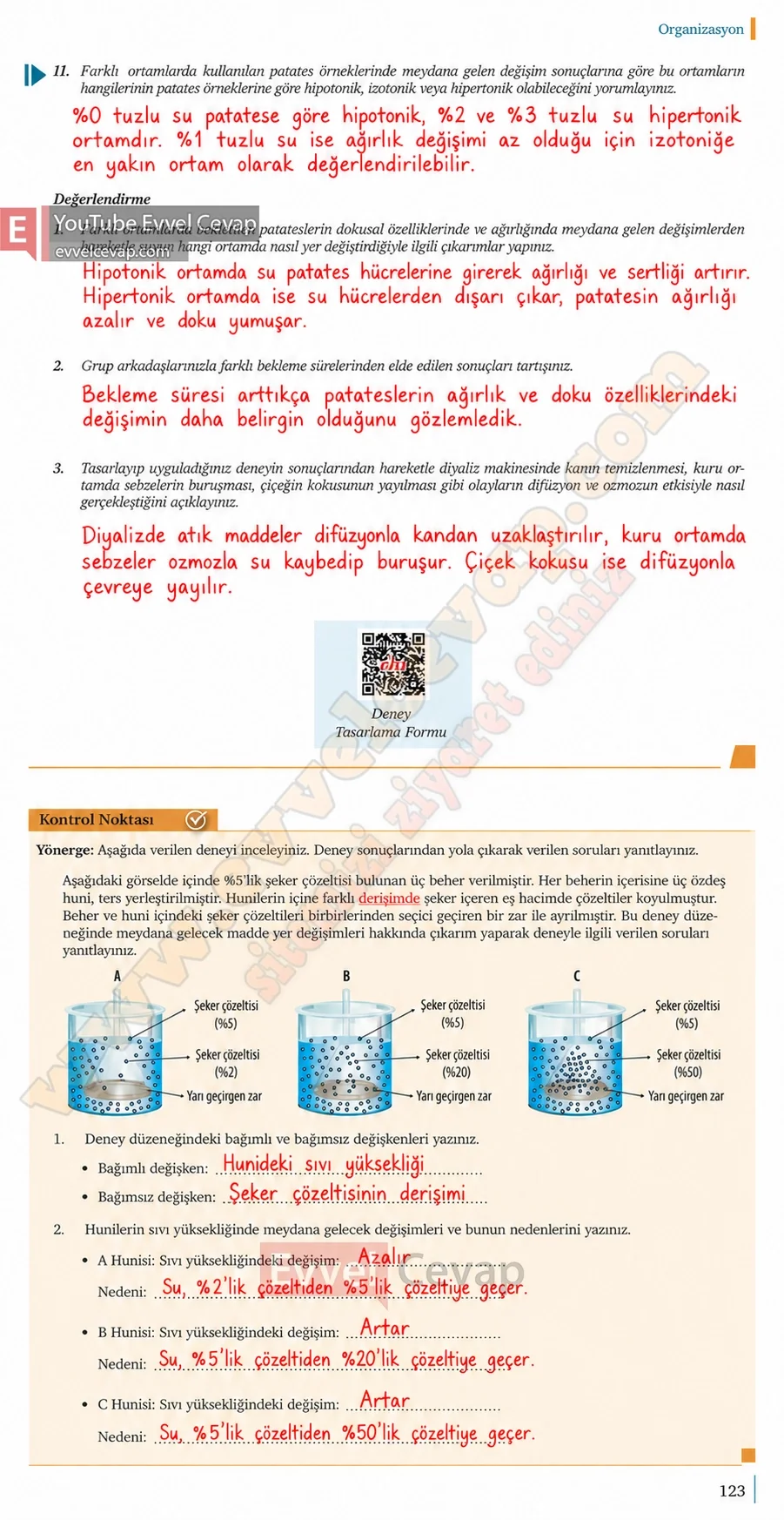 9-sinif-biyoloji-ders-kitabi-cevaplari-sayfa-123-2026