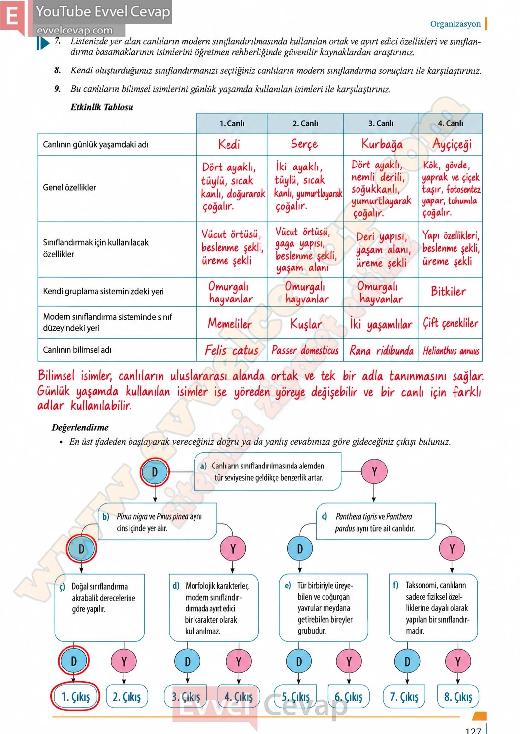 9-sinif-biyoloji-ders-kitabi-cevaplari-sayfa-127-2026