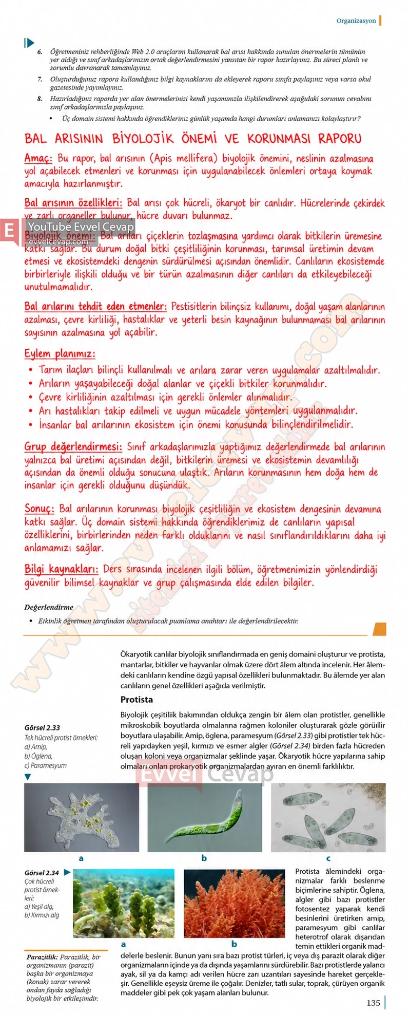 9-sinif-biyoloji-ders-kitabi-cevaplari-sayfa-135-2026