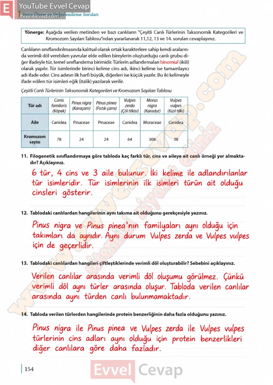 9-sinif-biyoloji-ders-kitabi-cevaplari-sayfa-154-2026