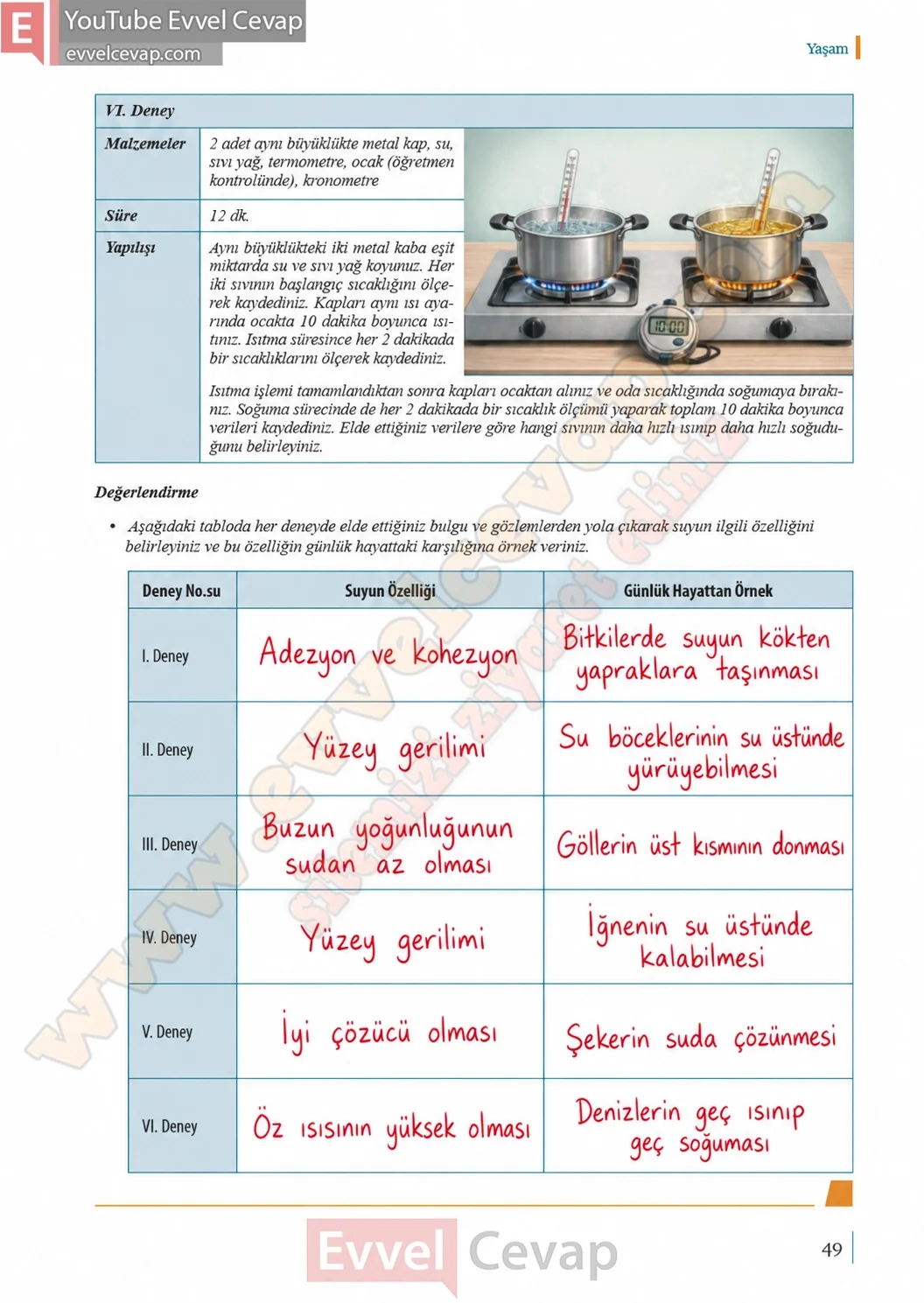 9-sinif-biyoloji-ders-kitabi-cevaplari-sayfa-49-2026