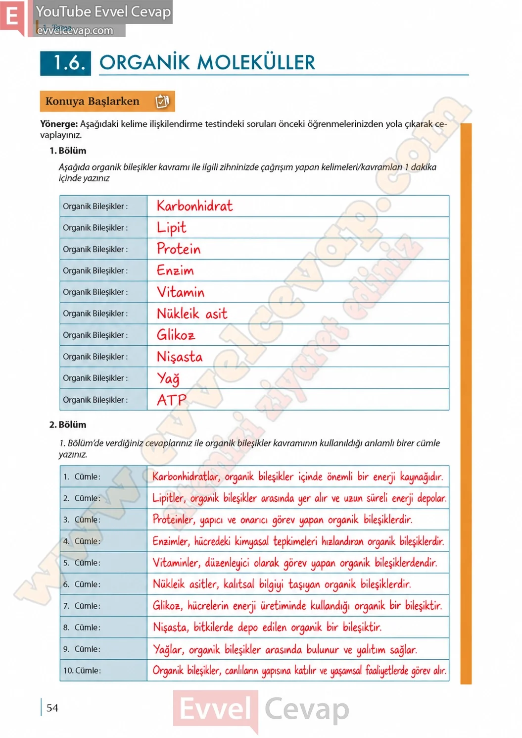 9-sinif-biyoloji-ders-kitabi-cevaplari-sayfa-54-2026