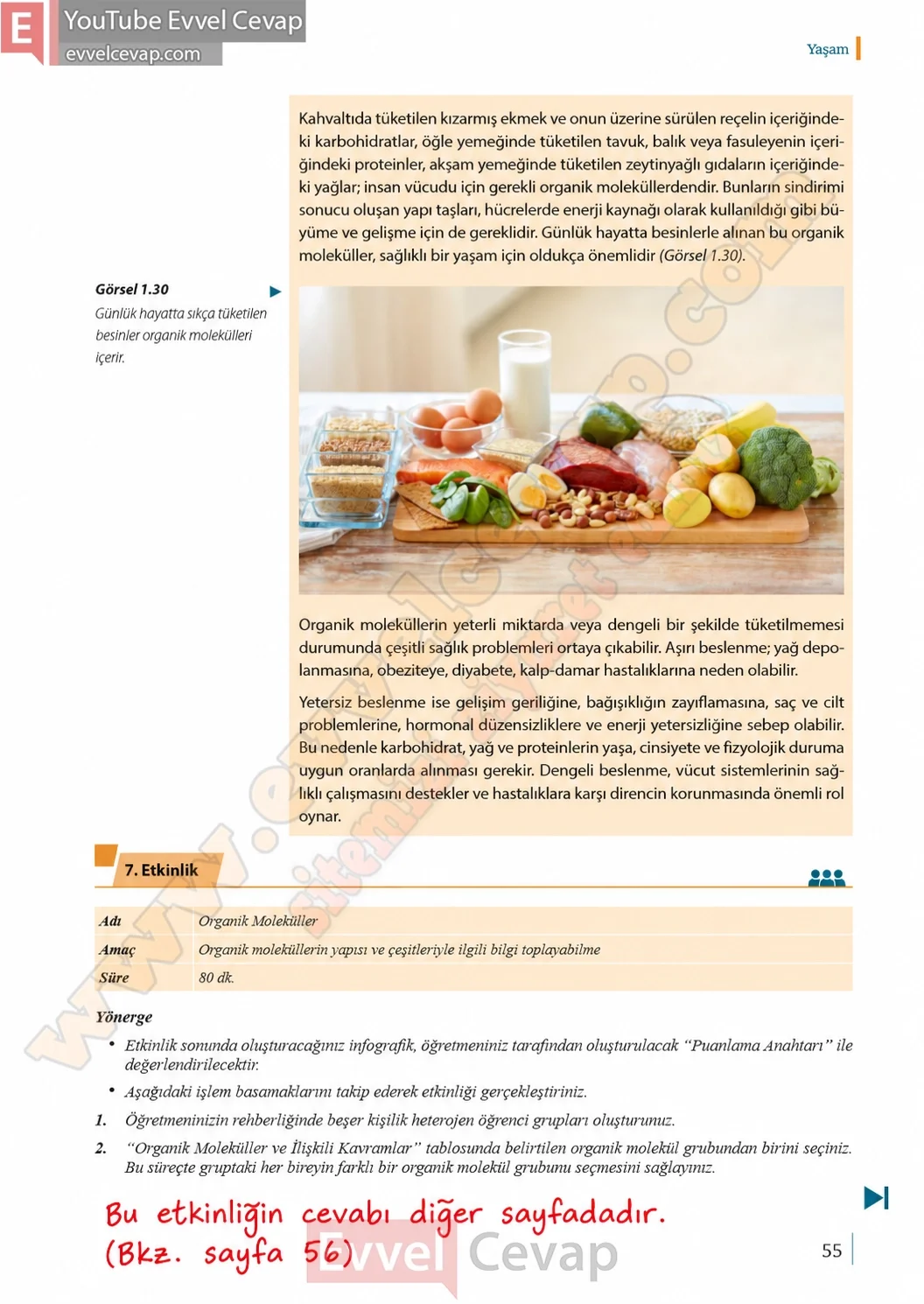 9-sinif-biyoloji-ders-kitabi-cevaplari-sayfa-55-2026