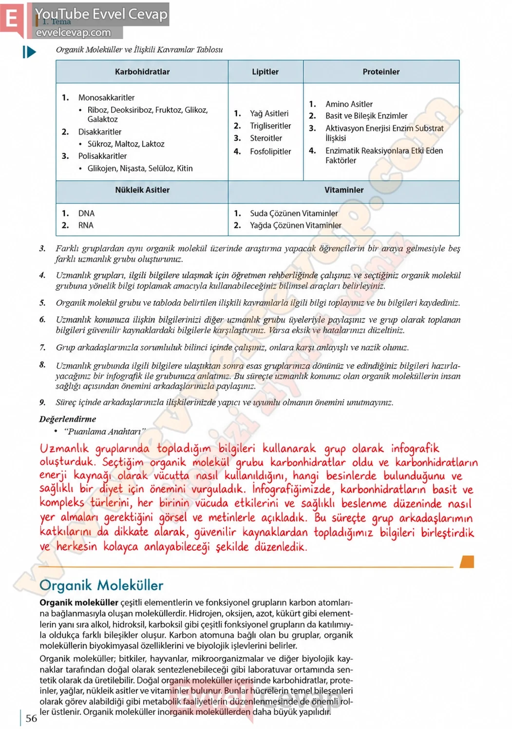 9-sinif-biyoloji-ders-kitabi-cevaplari-sayfa-56-2026