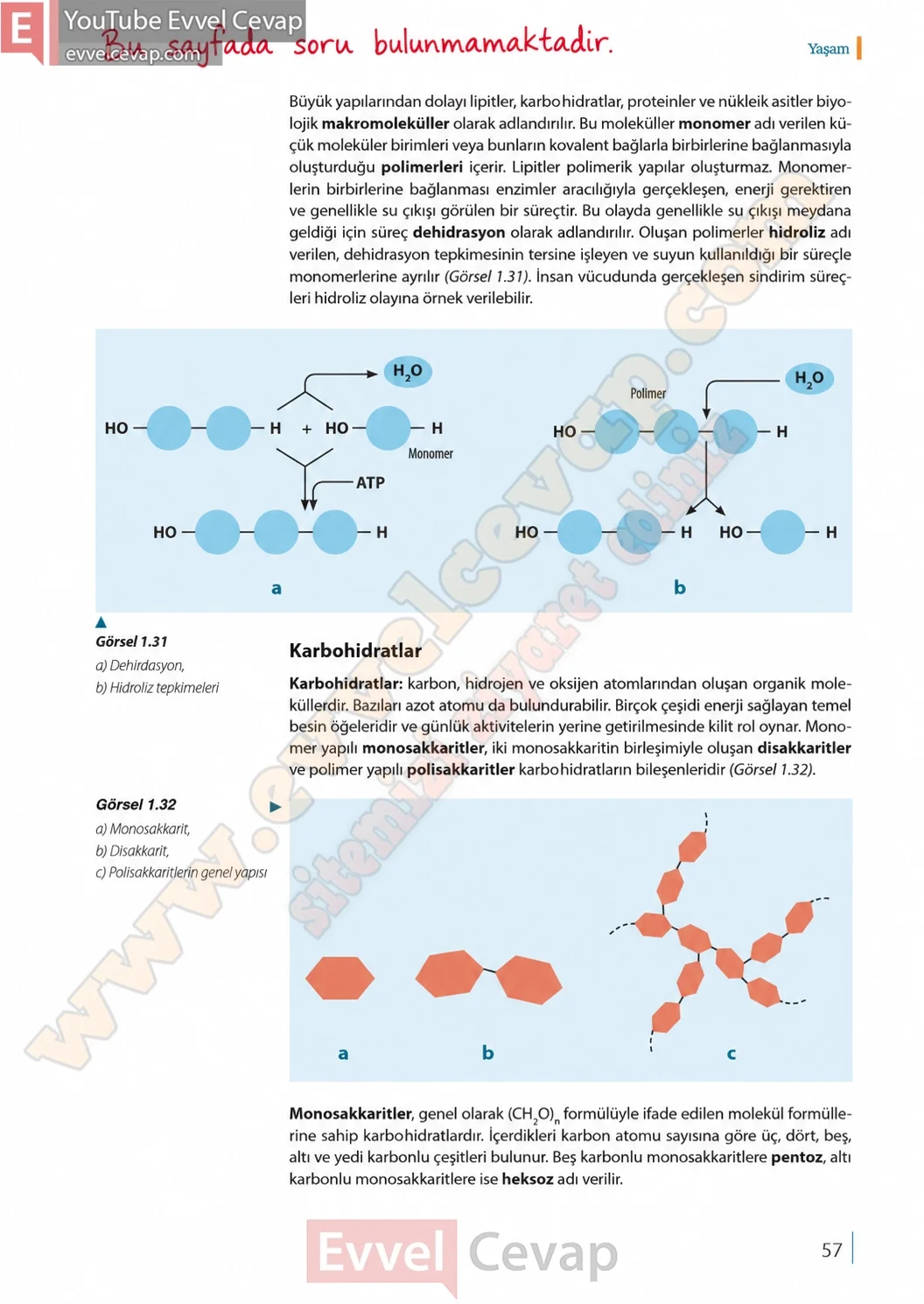 9-sinif-biyoloji-ders-kitabi-cevaplari-sayfa-57-2026