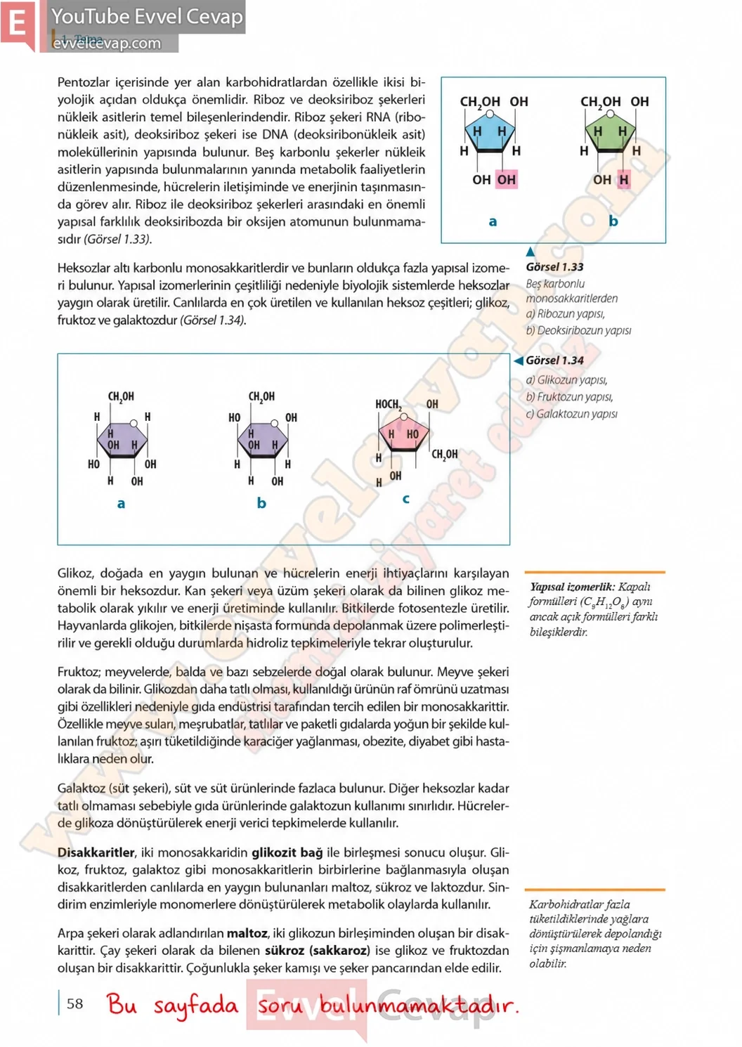 9-sinif-biyoloji-ders-kitabi-cevaplari-sayfa-58-2026