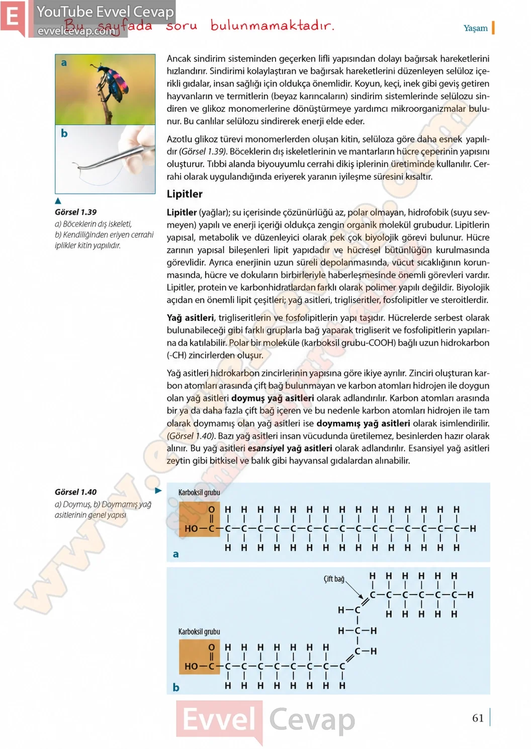 9-sinif-biyoloji-ders-kitabi-cevaplari-sayfa-61-2026