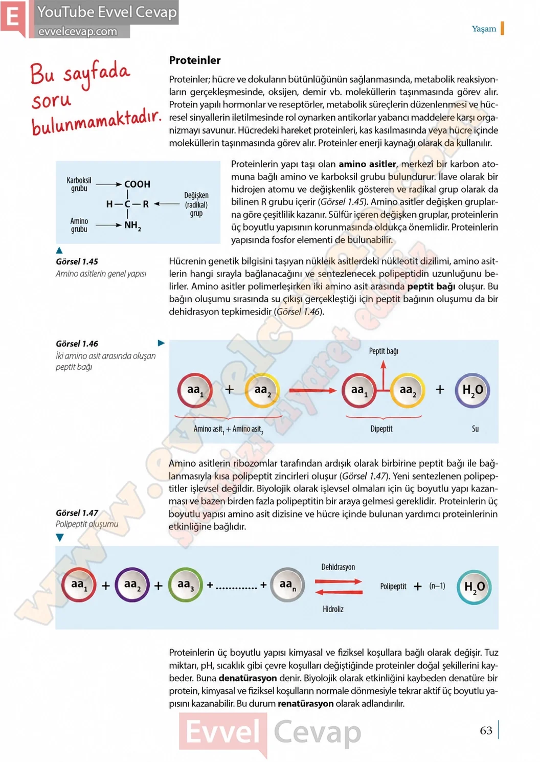 9-sinif-biyoloji-ders-kitabi-cevaplari-sayfa-63-2026
