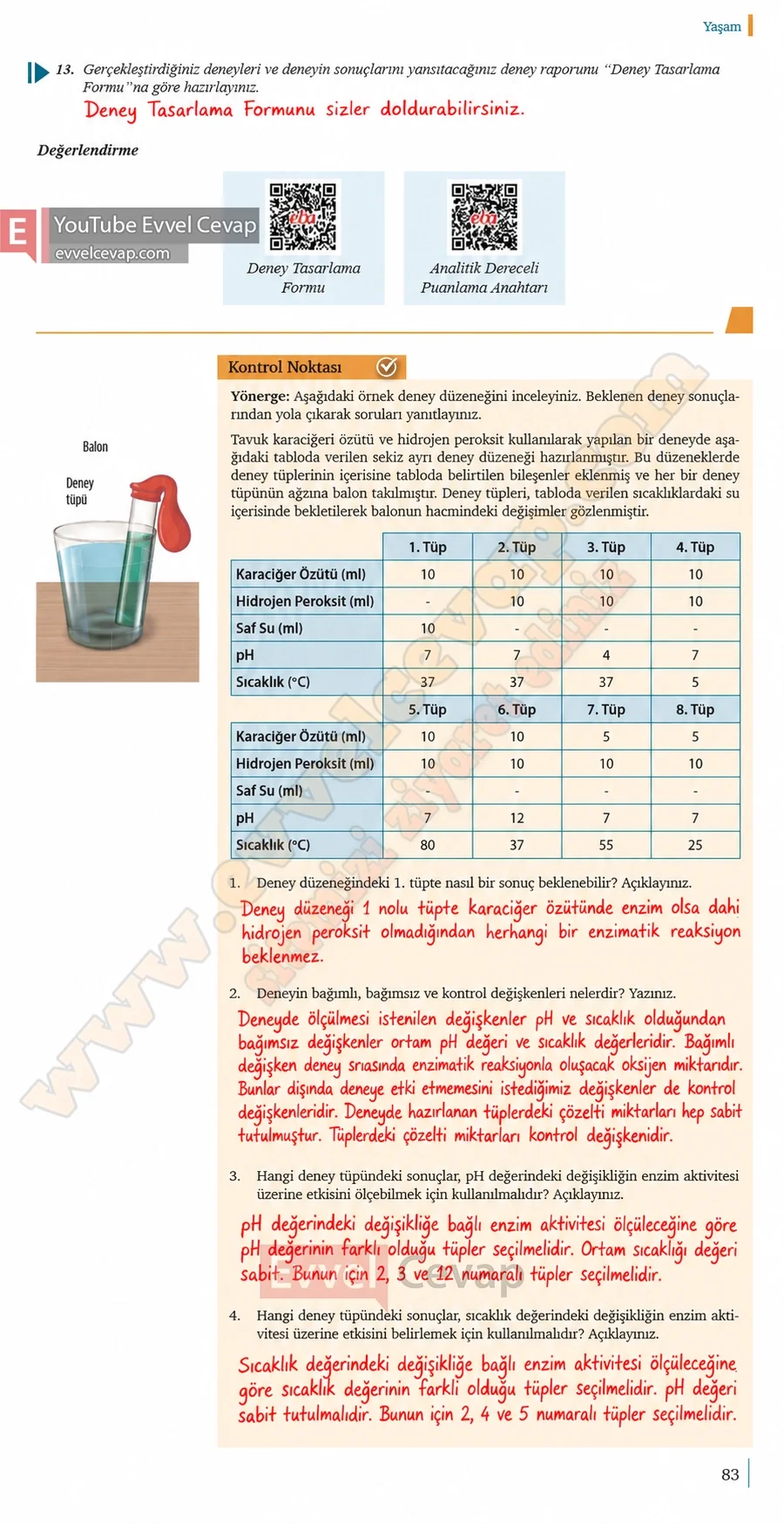9-sinif-biyoloji-ders-kitabi-cevaplari-sayfa-83-2026