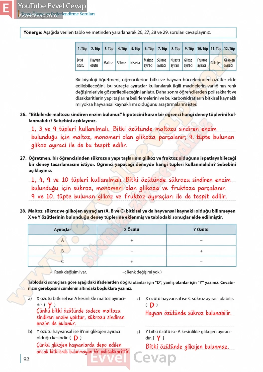 9-sinif-biyoloji-ders-kitabi-cevaplari-sayfa-92-2026