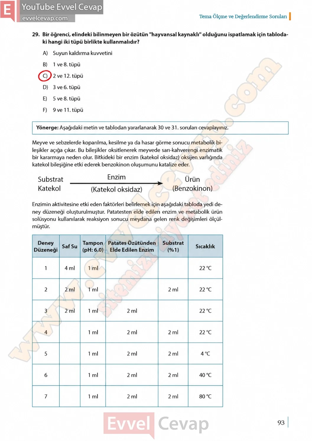 9-sinif-biyoloji-ders-kitabi-cevaplari-sayfa-93-2026
