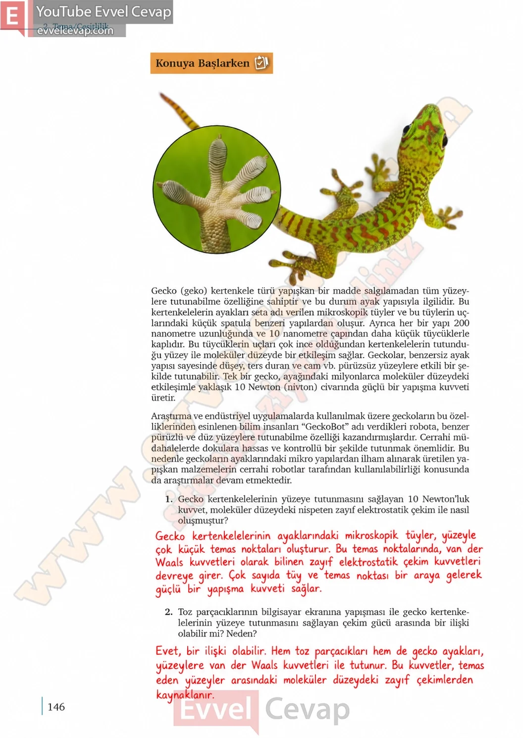 9-sinif-kimya-ders-kitabi-cevaplari-sayfa-146-2026-2027