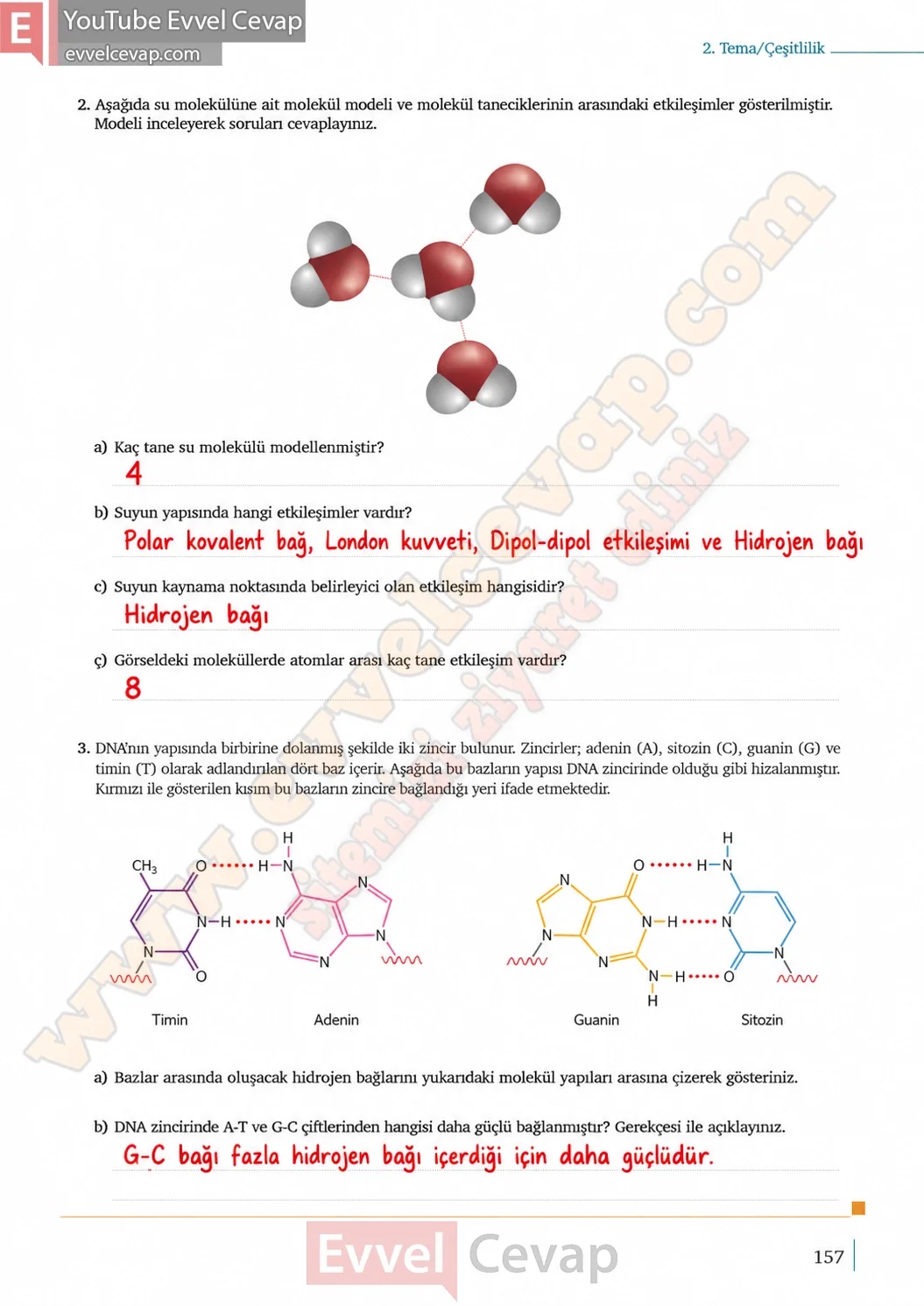 9-sinif-kimya-ders-kitabi-cevaplari-sayfa-157-2026-2027
